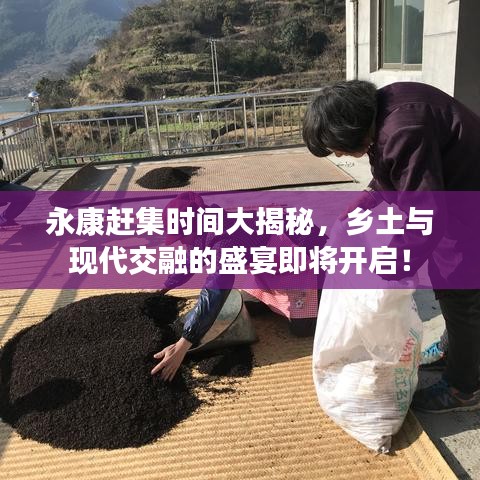 永康赶集时间大揭秘，乡土与现代交融的盛宴即将开启！