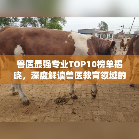 兽医最强专业TOP10榜单揭晓，深度解读兽医教育领域的巅峰领域！