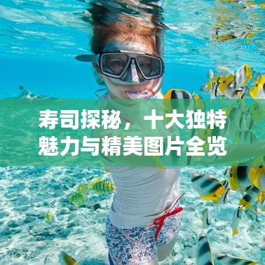 寿司探秘，十大独特魅力与精美图片全览