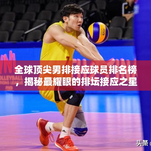 全球顶尖男排接应球员排名榜,揭秘最耀眼的排坛接应之星