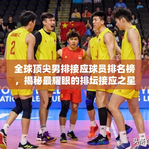 全球顶尖男排接应球员排名榜,揭秘最耀眼的排坛接应之星