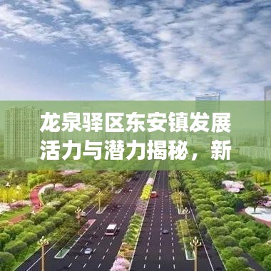 龙泉驿区东安镇发展活力与潜力揭秘，新闻头条聚焦区域崛起