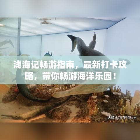 浅海记畅游指南，最新打卡攻略，带你畅游海洋乐园！