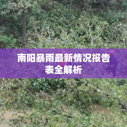 南阳暴雨最新情况报告表全解析