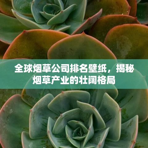 全球烟草公司排名壁纸，揭秘烟草产业的壮阔格局