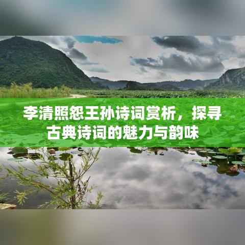 李清照怨王孙诗词赏析，探寻古典诗词的魅力与韵味
