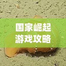 国家崛起游戏攻略大全，征服世界的战略秘籍