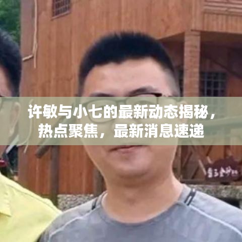 许敏与小七的最新动态揭秘，热点聚焦，最新消息速递