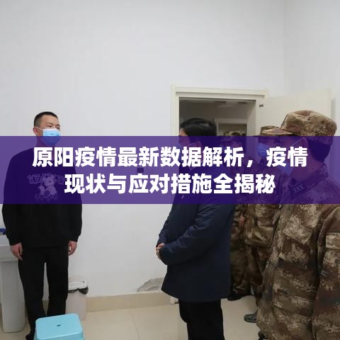 原阳疫情最新数据解析，疫情现状与应对措施全揭秘