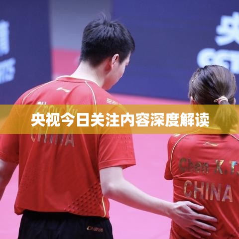 央视今日关注内容深度解读