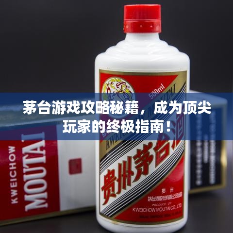 茅台游戏攻略秘籍，成为顶尖玩家的终极指南！