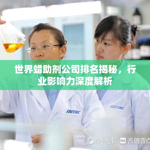 世界蜡助剂公司排名揭秘，行业影响力深度解析