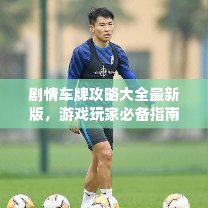 剧情车牌攻略大全最新版，游戏玩家必备指南！