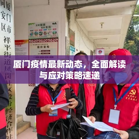 厦门疫情最新动态，全面解读与应对策略速递