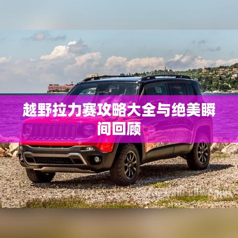 越野拉力赛攻略大全与绝美瞬间回顾