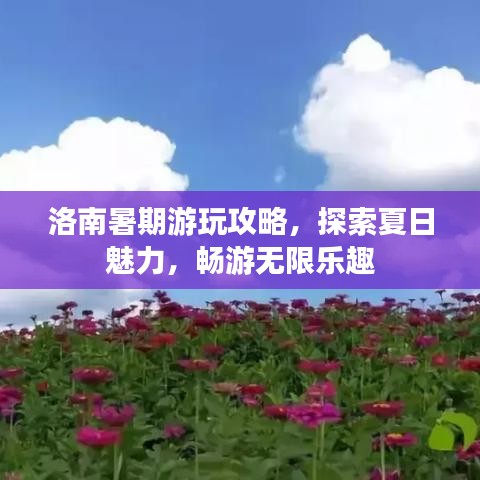 洛南暑期游玩攻略,探索夏日魅力,畅游无限乐趣