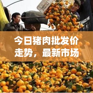 今日猪肉批发价走势，最新市场分析与预测