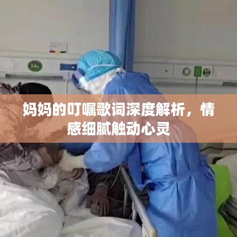 妈妈的叮嘱歌词深度解析，情感细腻触动心灵