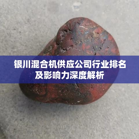 银川混合机供应公司行业排名及影响力深度解析