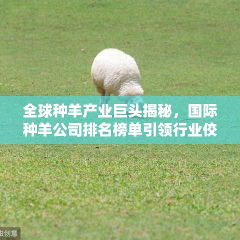 全球种羊产业巨头揭秘，国际种羊公司排名榜单引领行业佼佼者