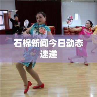 石棉新闻今日动态速递