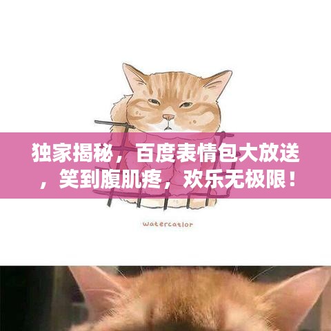 独家揭秘，百度表情包大放送，笑到腹肌疼，欢乐无极限！