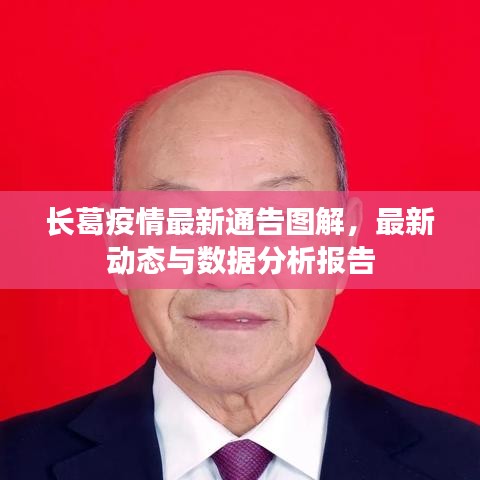 长葛疫情最新通告图解，最新动态与数据分析报告