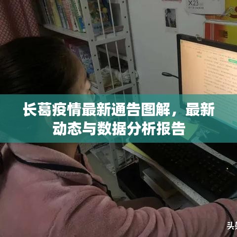 长葛疫情最新通告图解,最新动态与数据分析报告