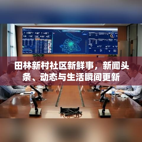 田林新村社区新鲜事，新闻头条、动态与生活瞬间更新