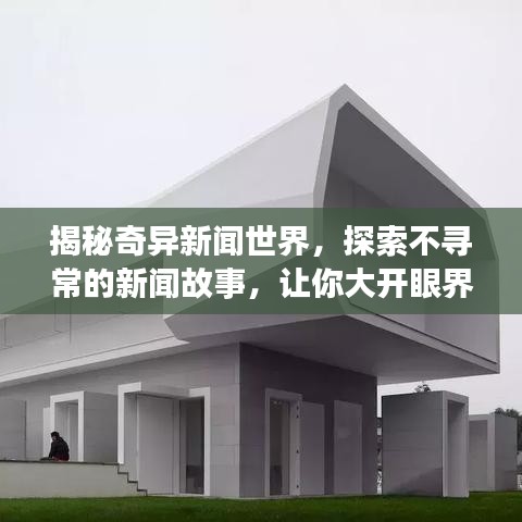 揭秘奇异新闻世界，探索不寻常的新闻故事，让你大开眼界！