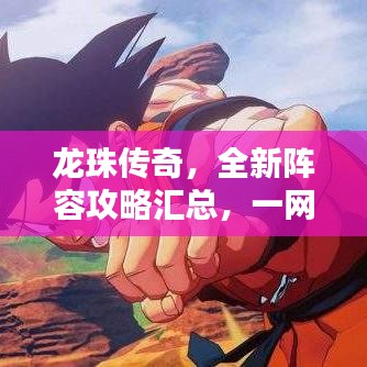 龙珠传奇，全新阵容攻略汇总，一网打尽！