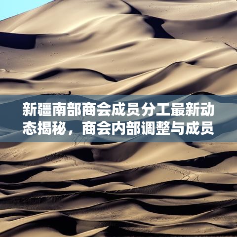 新疆南部商会成员分工最新动态揭秘，商会内部调整与成员职责分工一览