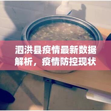 泗洪县疫情最新数据解析，疫情防控现状全面观察