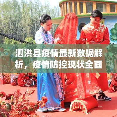 泗洪县疫情最新数据解析,疫情防控现状全面观察