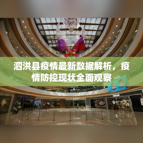 泗洪县疫情最新数据解析,疫情防控现状全面观察