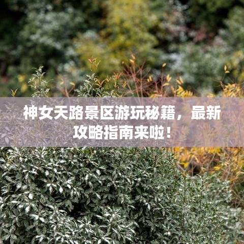神女天路景区游玩秘籍，最新攻略指南来啦！