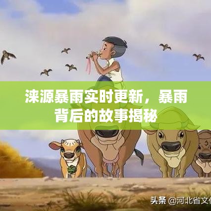 涞源暴雨实时更新，暴雨背后的故事揭秘