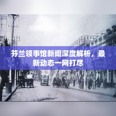 芬兰领事馆新闻深度解析，最新动态一网打尽