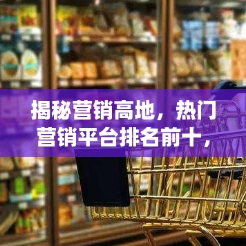 揭秘营销高地,热门营销平台排名前十,成功策略大解密!