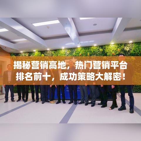 揭秘营销高地,热门营销平台排名前十,成功策略大解密!
