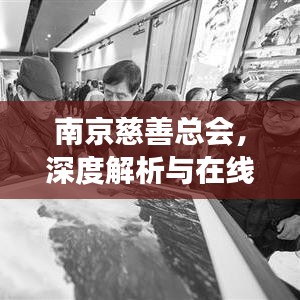 南京慈善总会，深度解析与在线探索之旅