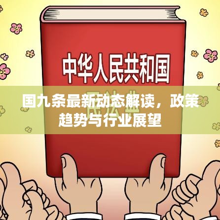 国九条最新动态解读，政策趋势与行业展望