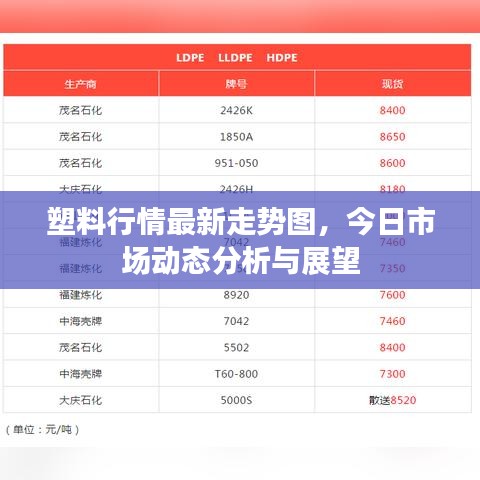塑料行情最新走势图，今日市场动态分析与展望