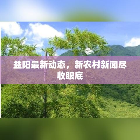益阳最新动态，新农村新闻尽收眼底