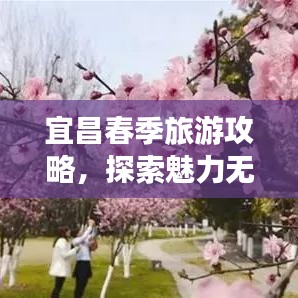 宜昌春季旅游攻略，探索魅力无限的旅游胜地