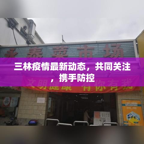 三林疫情最新动态，共同关注，携手防控