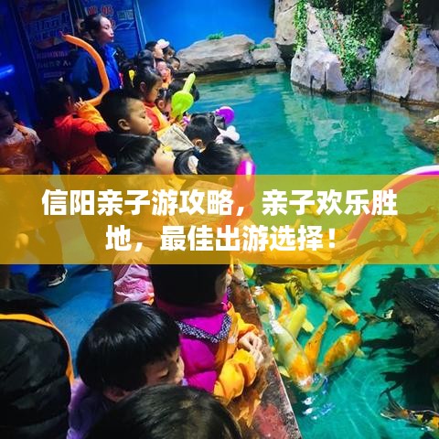 信阳亲子游攻略，亲子欢乐胜地，最佳出游选择！