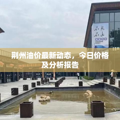 荆州油价最新动态，今日价格及分析报告