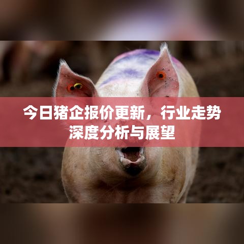 今日猪企报价更新，行业走势深度分析与展望