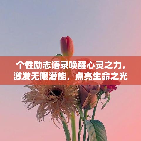 个性励志语录唤醒心灵之力，激发无限潜能，点亮生命之光